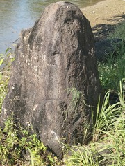 1000002933