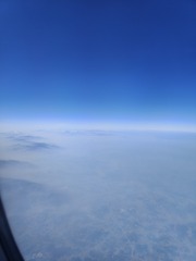 1000046388
