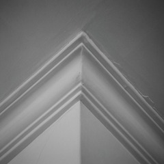 1000012561