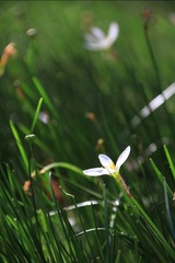 IMG_0364