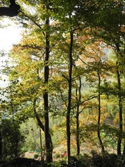 DSCN7955.jpg