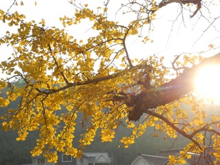 DSCN8175.jpg