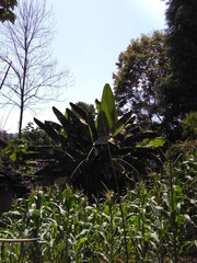 IMG_20150724_125645