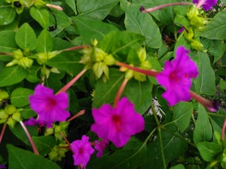 IMG_20150716_164907
