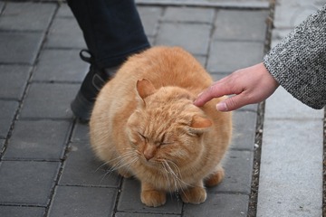 256567