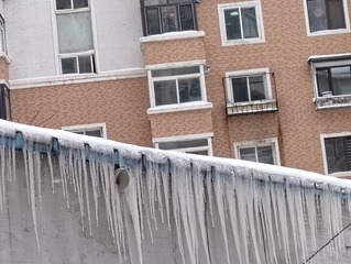 1000012667