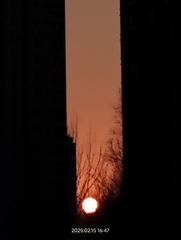 1000013477