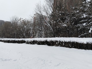 1000012643
