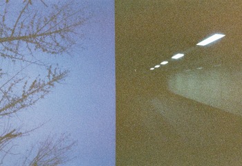 000028(1)