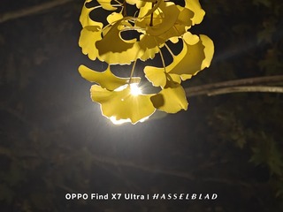 1000021964
