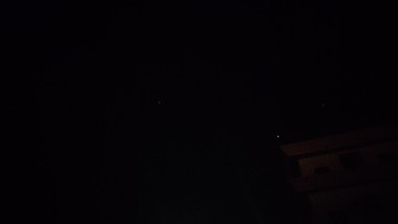 1000021901