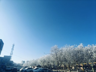 1000012469
