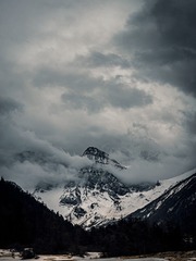 1000058701