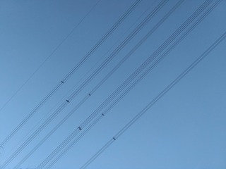 558908