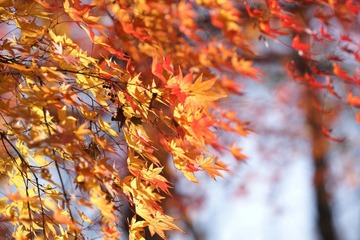 DSC01344.JPG