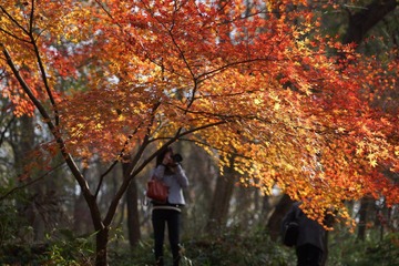 DSC01356.JPG