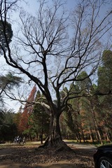 DSC01393.jpg