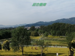 180613