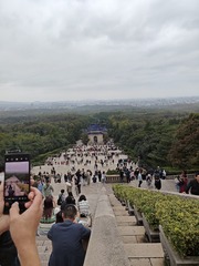 1000068775