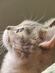 4876