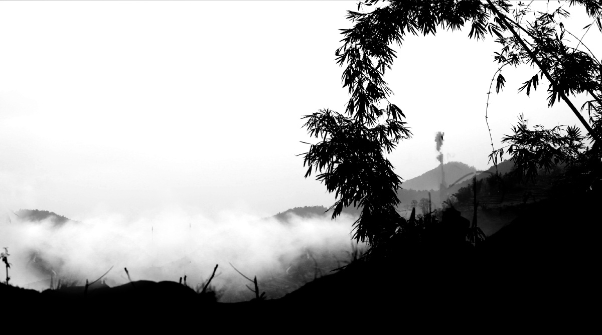 山上的雾景,秀丽的孤竹,像一幅水墨画.