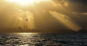 DSC_7732_调整大小