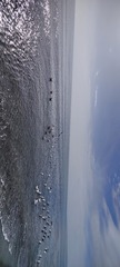 1000046788
