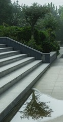 1000033774