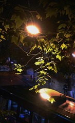 03990696-0D74-4732-8EDD-B82848866AEA/L0/001
