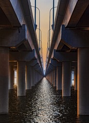 1000070743