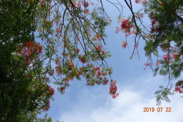 DSC04070