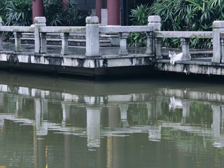 1000056152