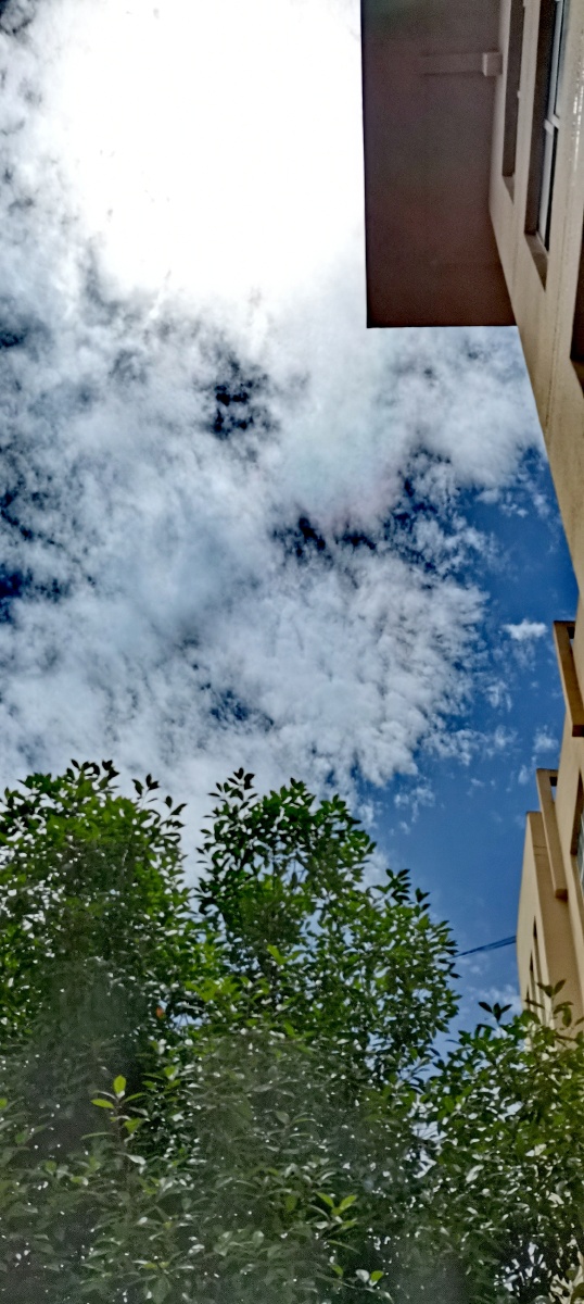 今日午间气象随观