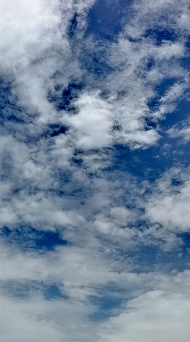 今日午间气象随观