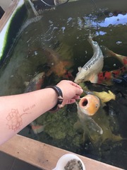 545