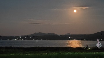 1000061786