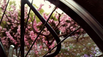C360_2012-04-14-18-03-19