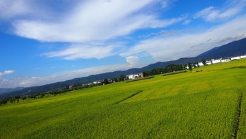 P9101646