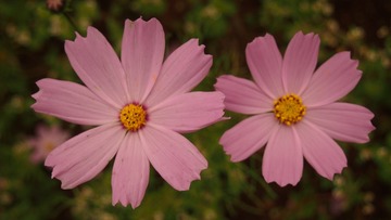P9162263