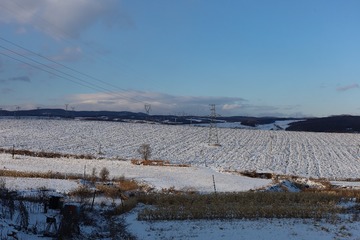 IMG_0607
