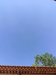 1000005662