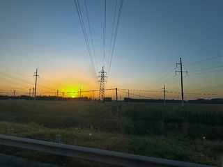 1000007778