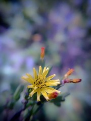 201301151362.jpg