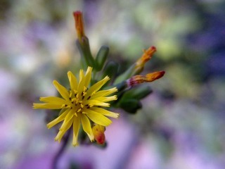 201301151361.jpg