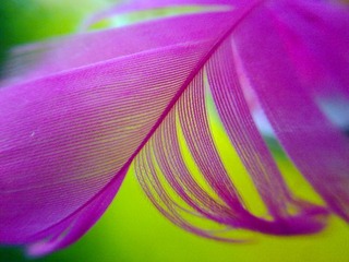 201301141342.jpg