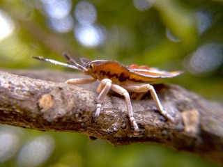 201301161378.jpg