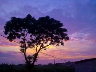 201304172022.jpg