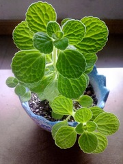 201305232116.jpg