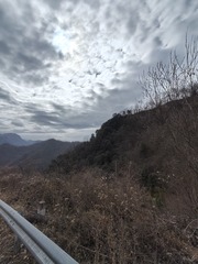 1000016032