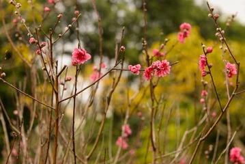 20130125-141003s.jpg